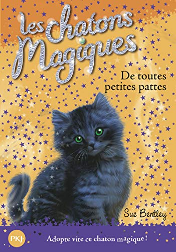 LES CHATONS MAGIQUES - T.12